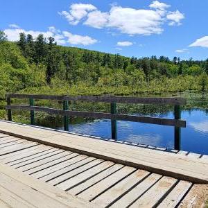 Myers Pond