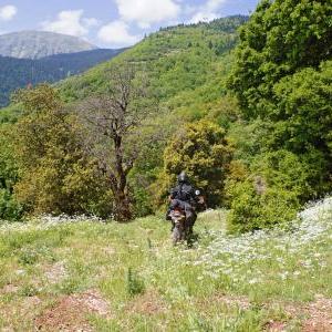 It might be a bit rough for a heavy motorbike but it's really beautiful, especially during Spring, when everything blossoms!