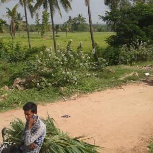 reached canal service road