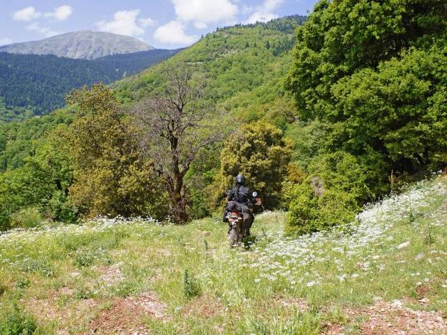 It might be a bit rough for a heavy motorbike but it's really beautiful, especially during Spring, when everything blossoms!