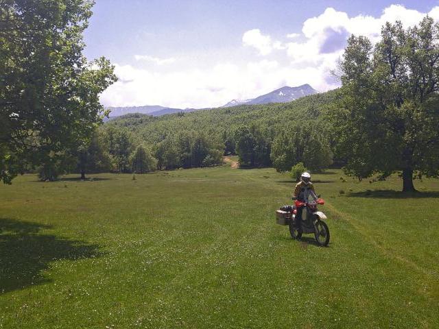 This fairy meadow is a lovely place to have a picnic or wild camp!